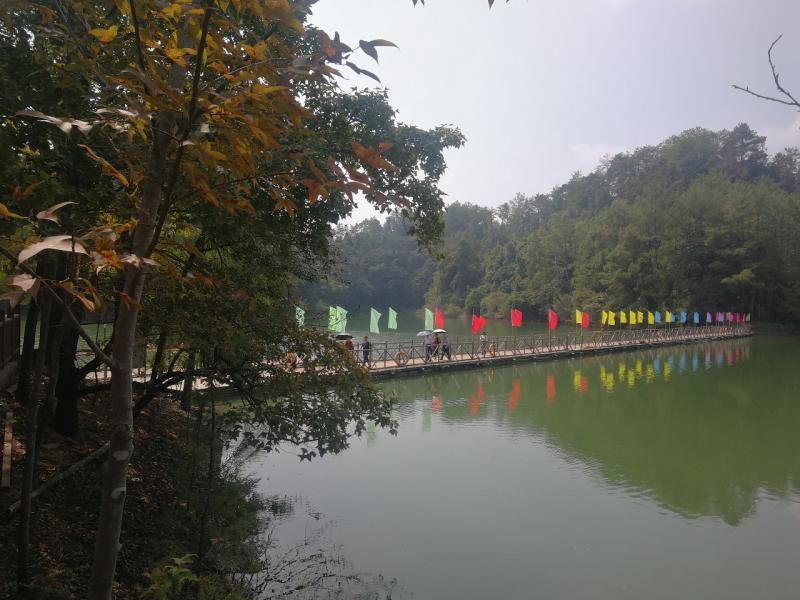微信图片_20191010132822.jpg