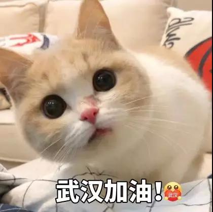 微信图片_20081223004252.jpg