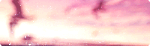 1.gif