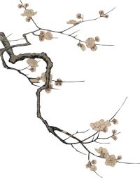 640_4.png