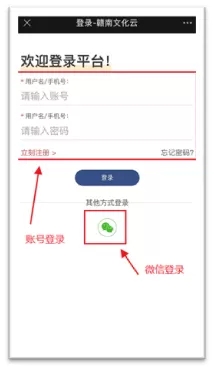 5.webp.jpg