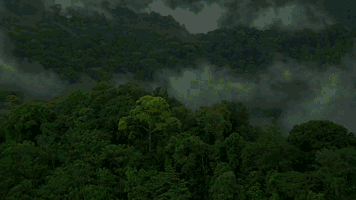 640.gif