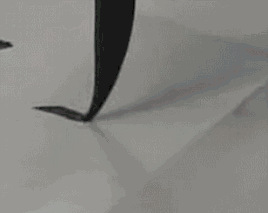 640.gif