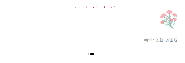 13.png