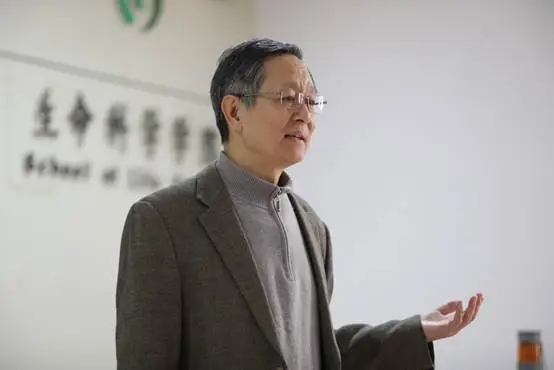 2.webp (2).jpg